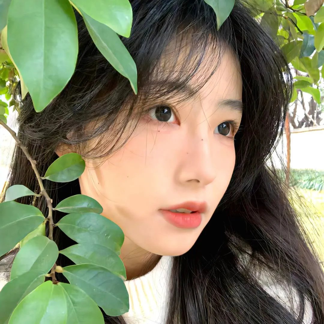 公媳闹牛